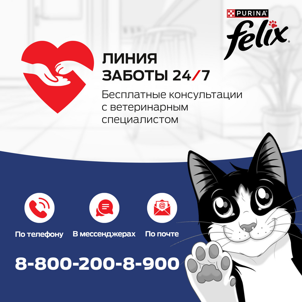 34ee04a4-b3f4-494f-bd61-c5222171ebe3 (1)
