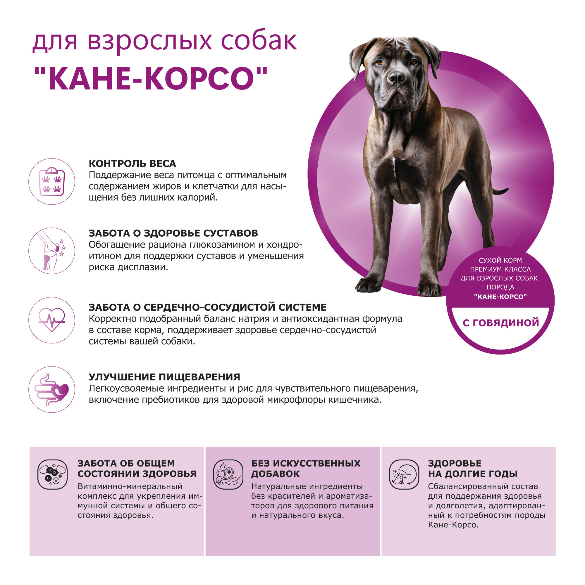 pic-2-говядина (8)