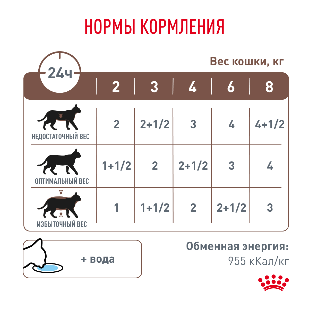 Cat_Gastrointestinal_Wet_8
