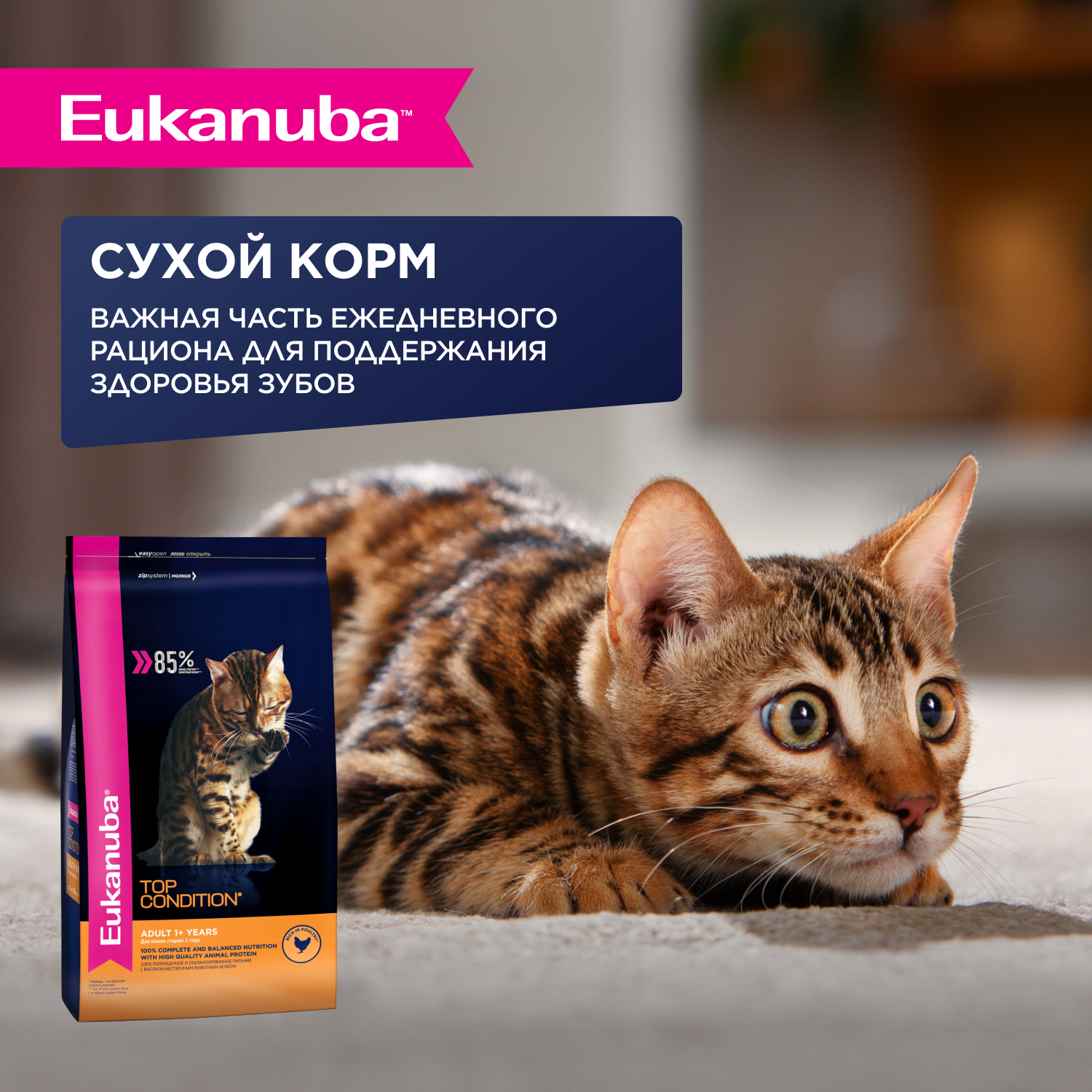 7-ВЛАЖНЫЙ-ADULT_TOP_CONDITION-CHICKEN