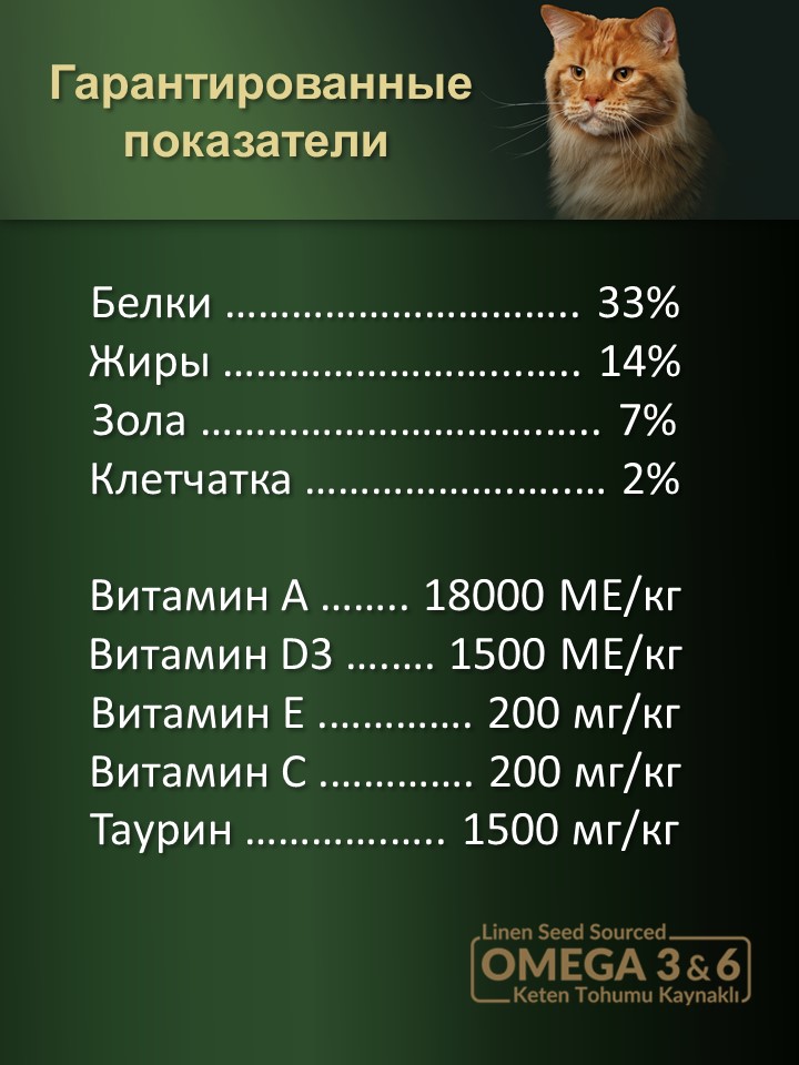 БИ_000279_4