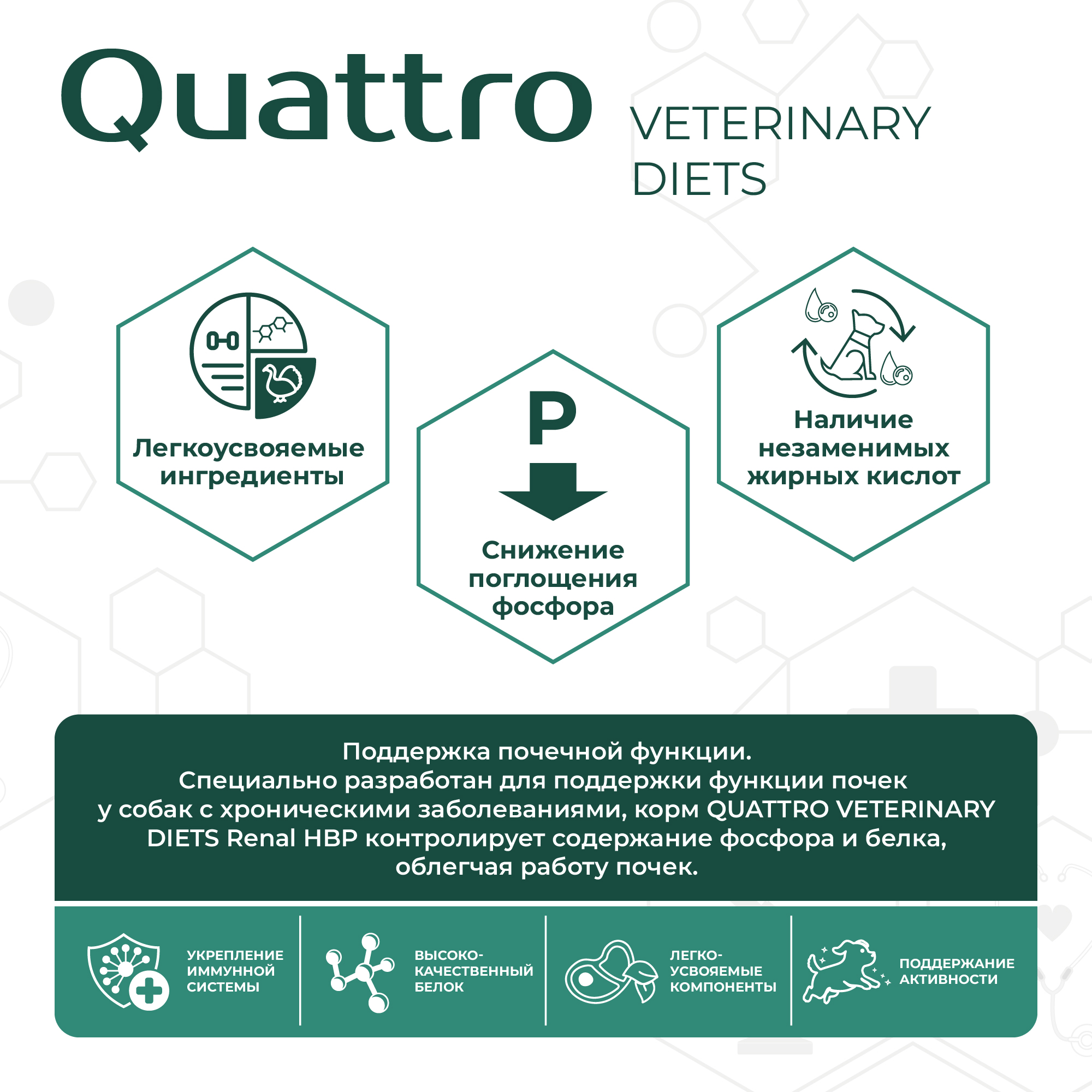 Quattro_Vet_11SKU_cards_2000px-26