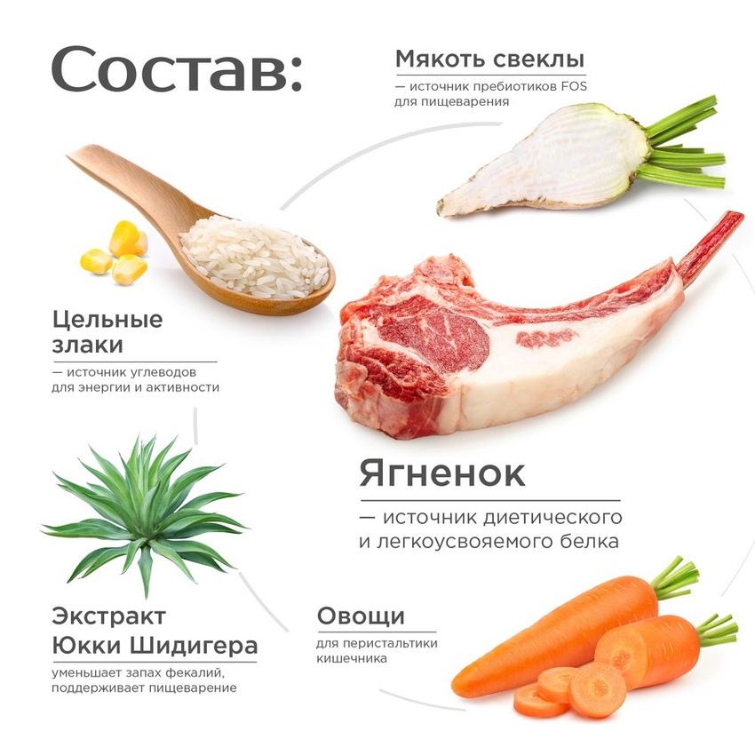 Quattro корм для взрослых собак породы Немецкая овчарка, с ягненком