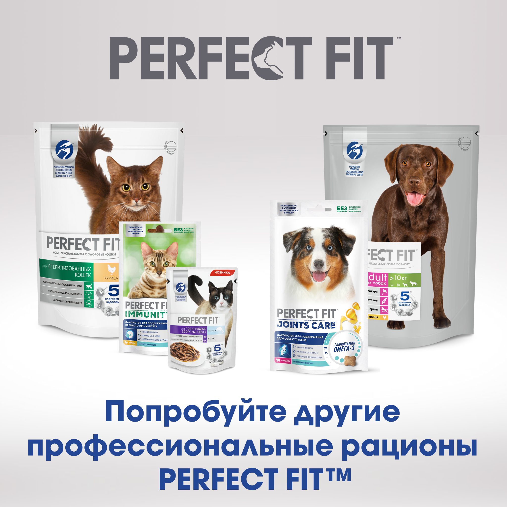 Perfect fit immunity для кошек