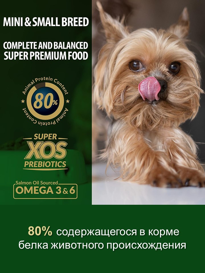 БИ_000262_5