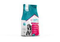 PUPPY SUPPORT DOG - FRONT