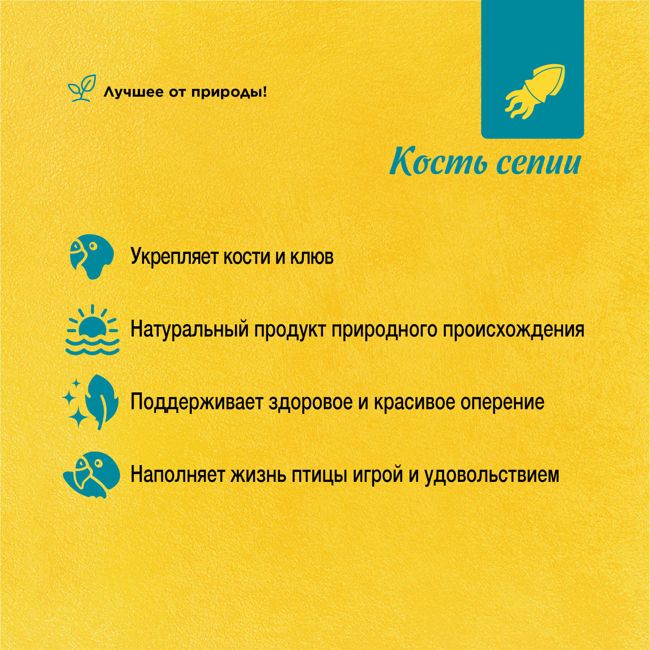 RIO_sepia shell_plus (1)