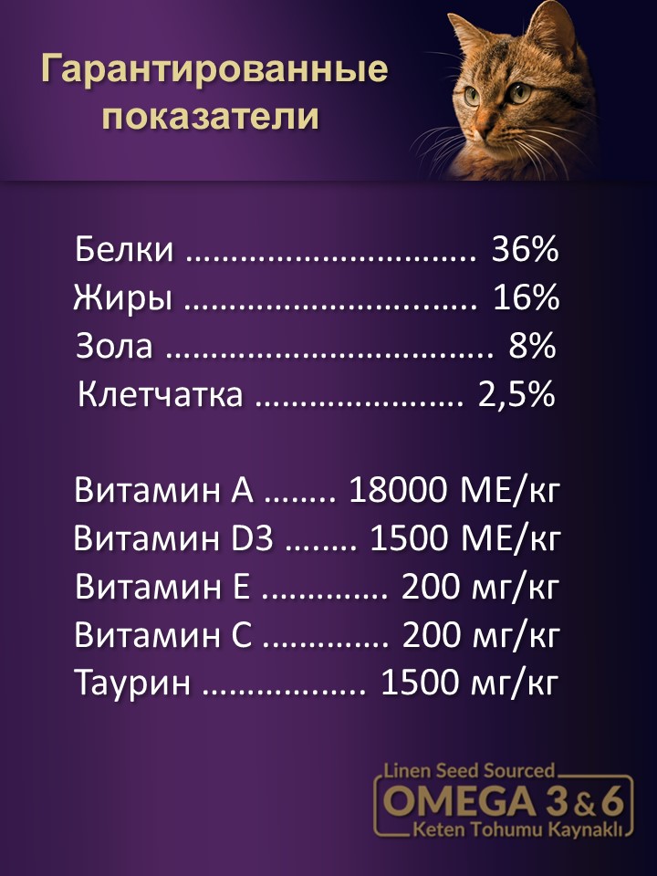 БИ_000281_4