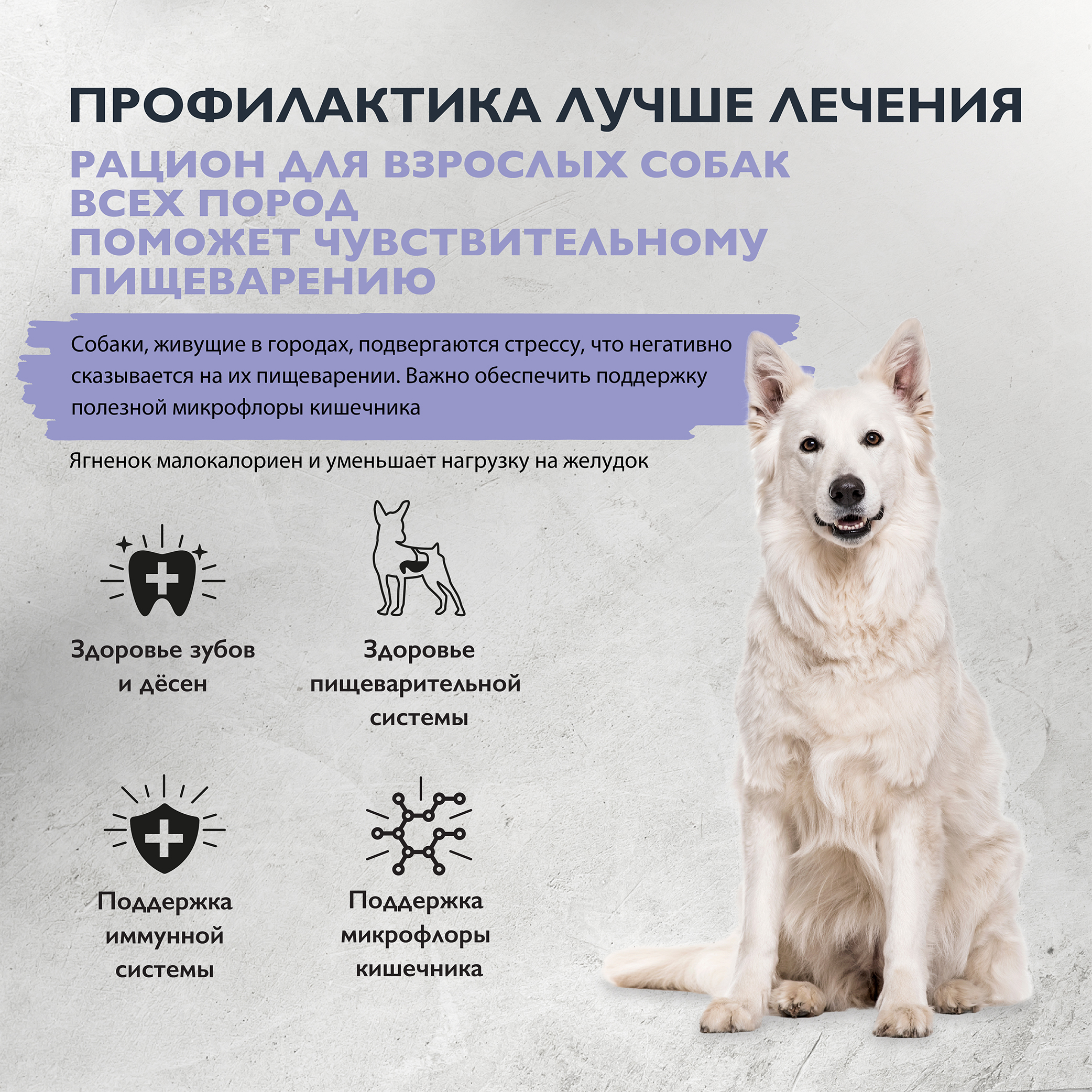 dog_adult_sensetiva_healthy_digestion_all breeds-02