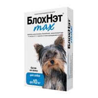 блохнэт 10