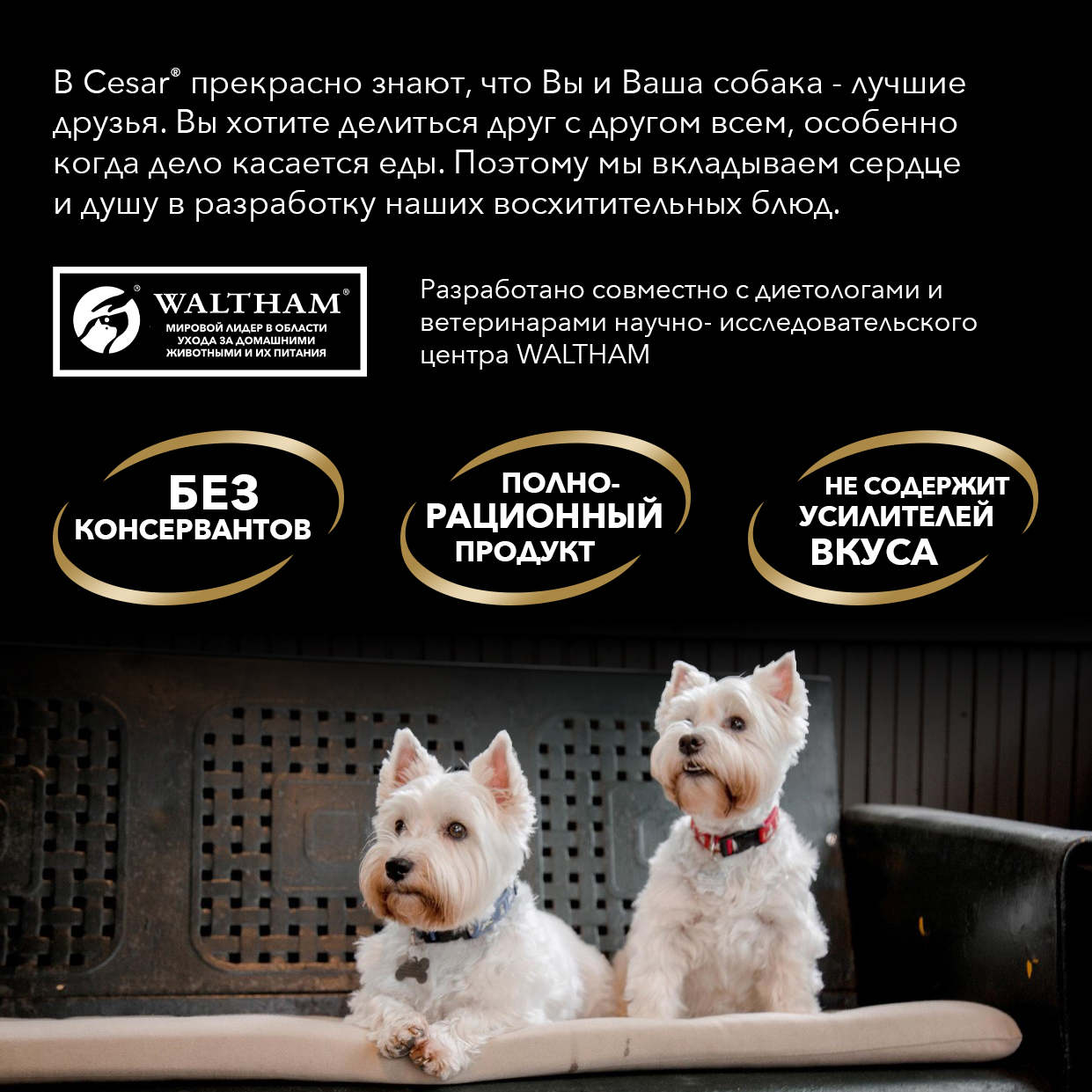 Cesar влажный корм для взрослых собак всех пород, c говядиной кроликом и шпинатом (28шт в уп) / 85 гр