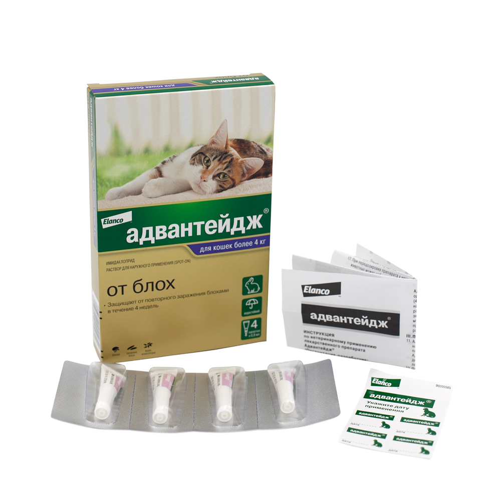2.Advantage cat 4-8 4pip_all
