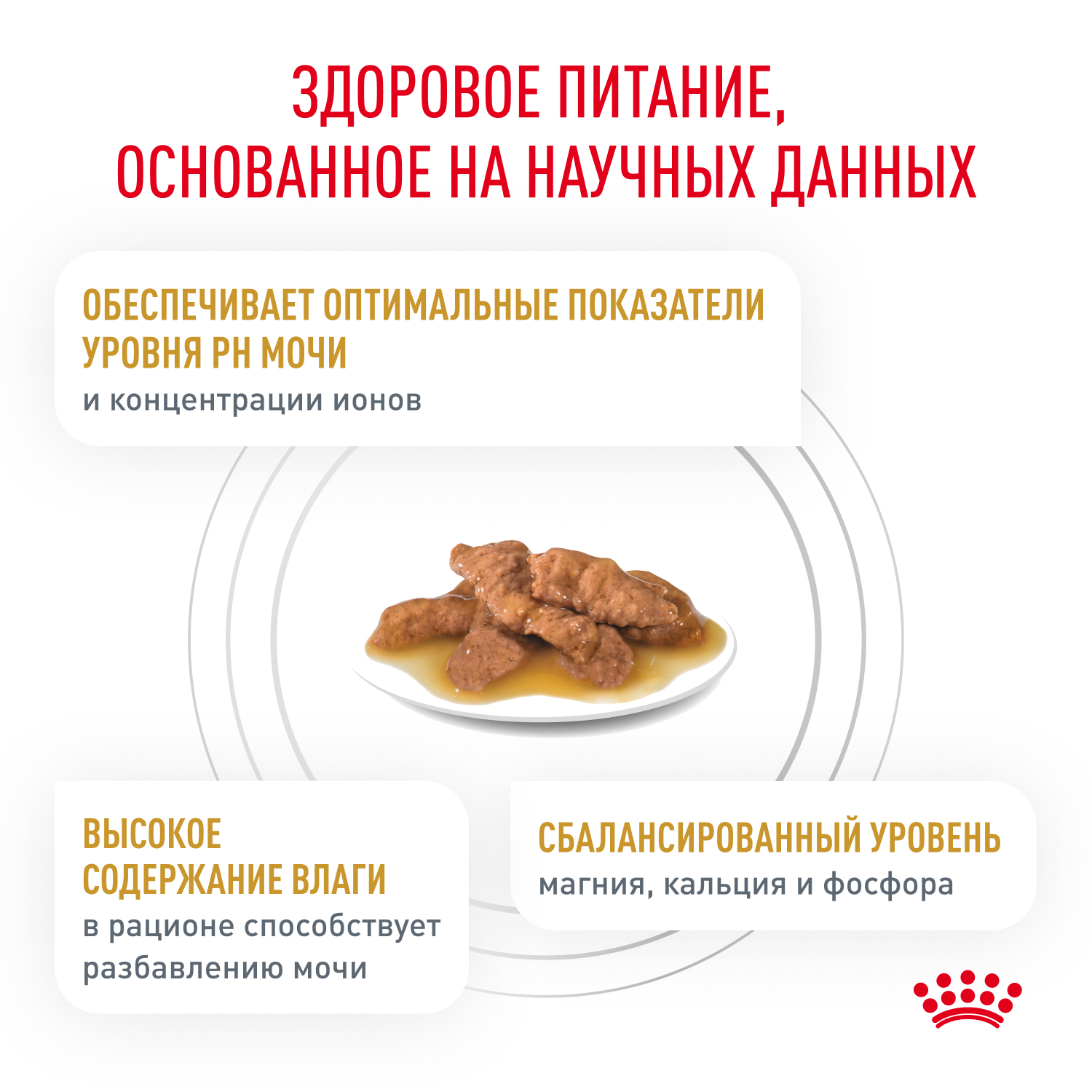 3_Cat_Urinary SO_Dry