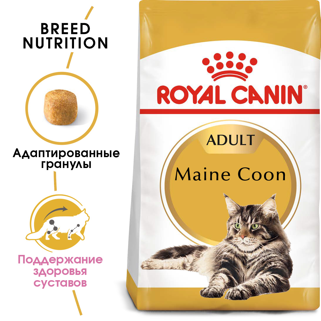 1_RC-FBN-MaineCoon-MV-Eretailkit__rus