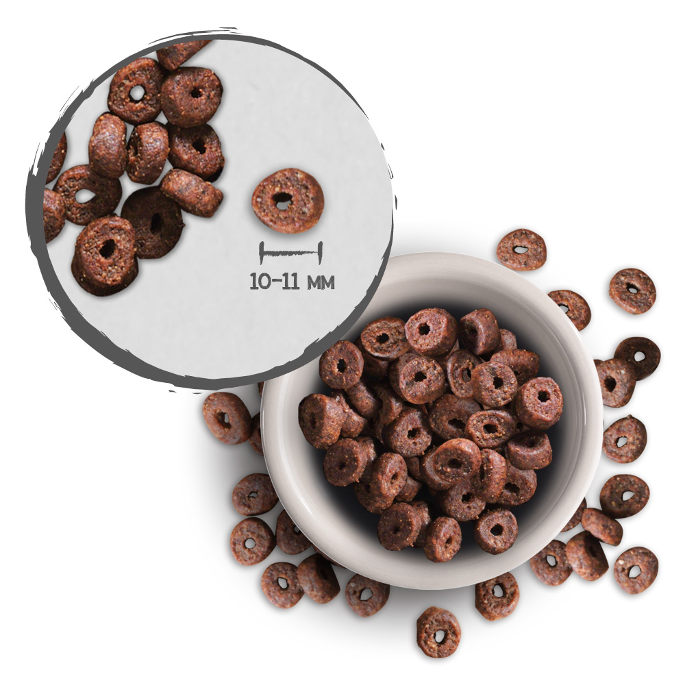 Leonardo Senior croc