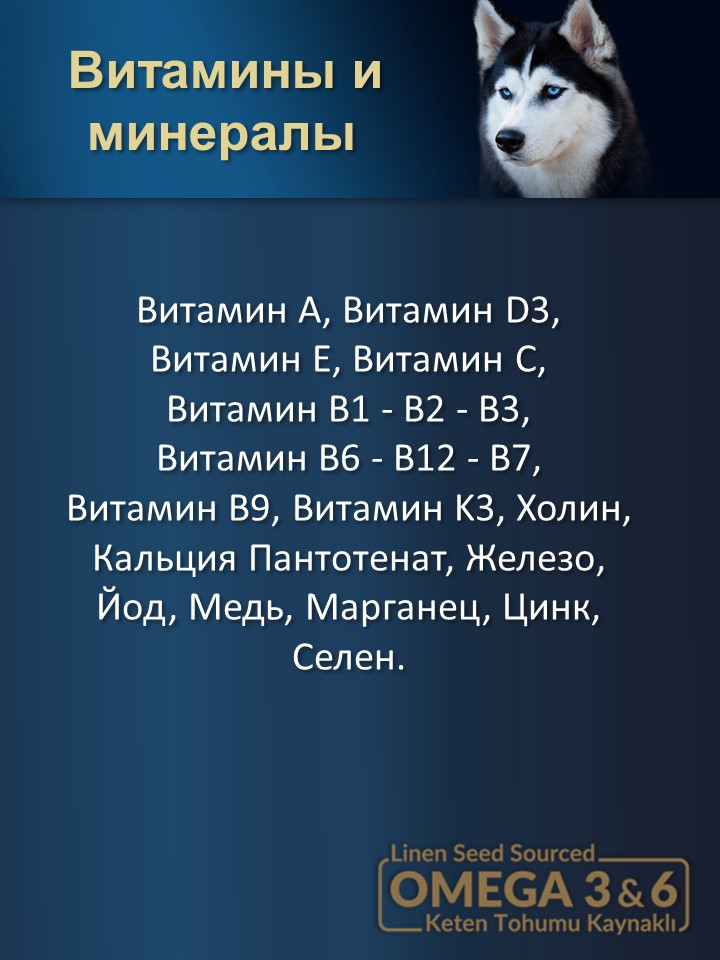 БИ_000255_3