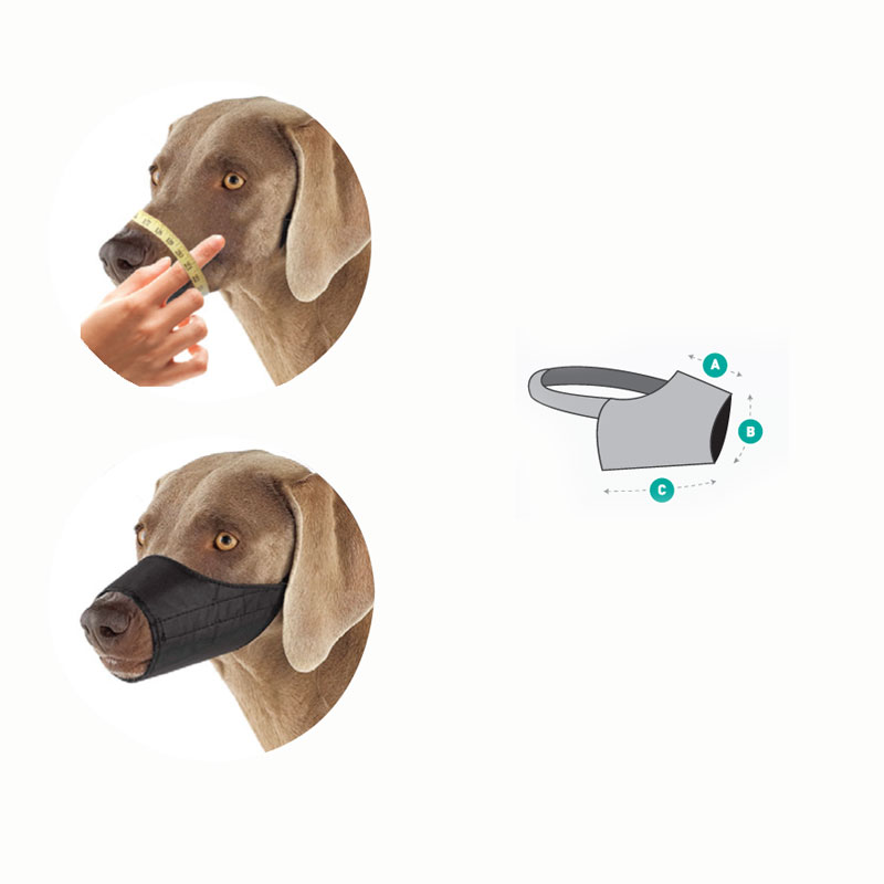 good-5a64e61b-b204-11e5-a945-005056bf744c