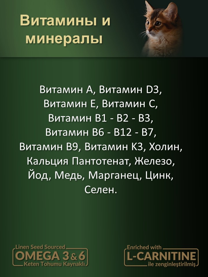 БИ_000267_3