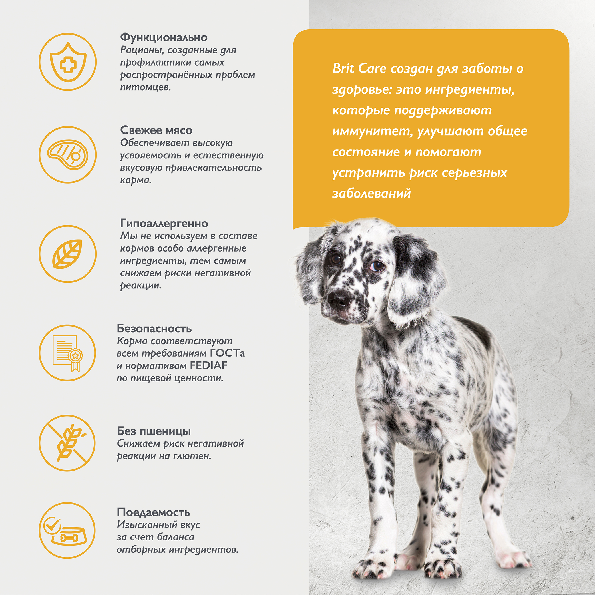 dog_puppy_junior_healthy_growth_M (3)