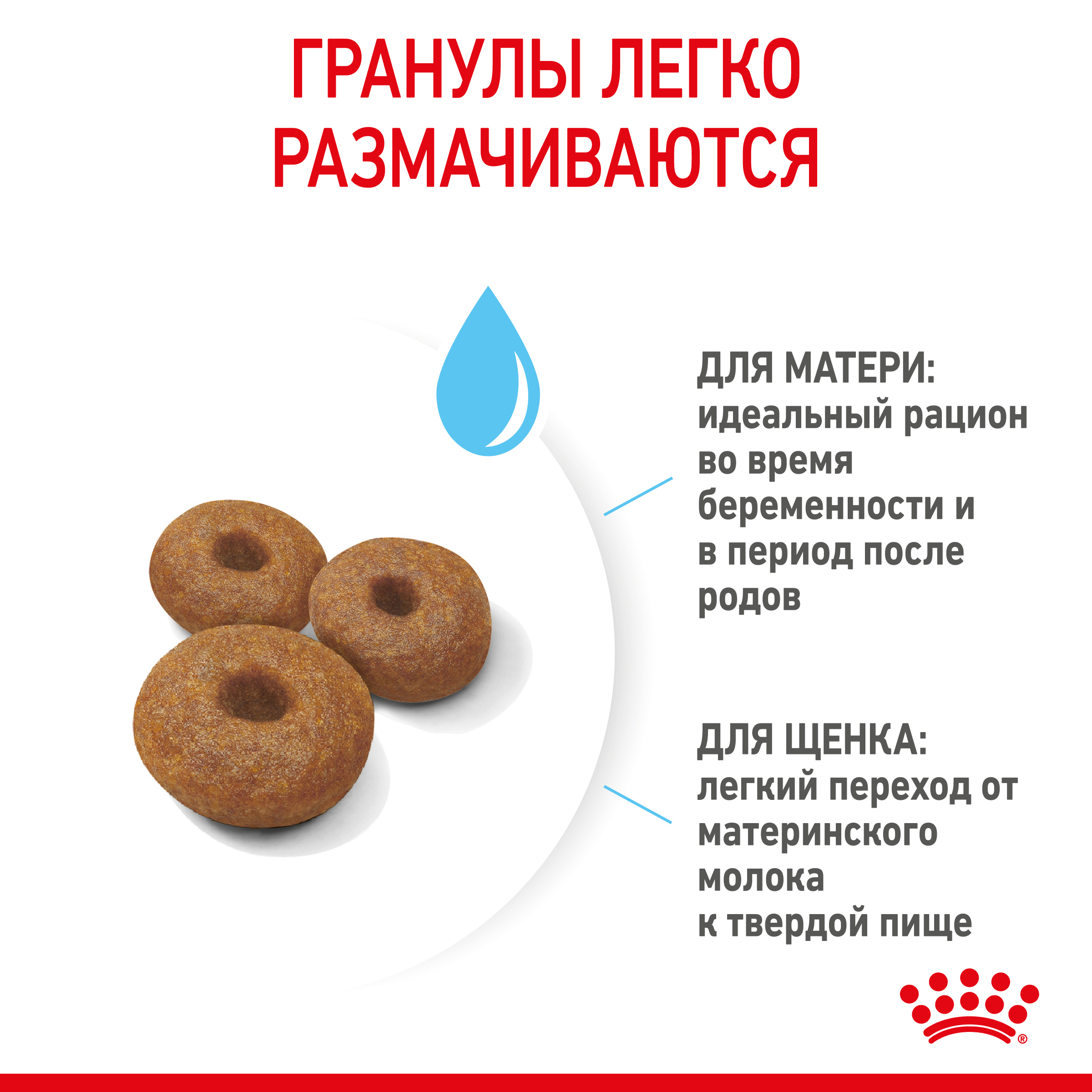 Royal Canin корм для щенков крупных пород до 2-х месяцев — купить по  доступной цене с доставкой