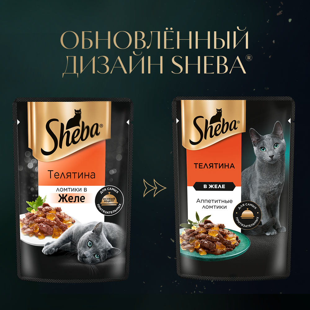 sheba_телятина в желе