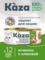 Kaza_card1-08