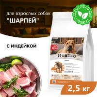 Quattro корм для взрослых собак породы Шарпей, с индейкой — купить ...