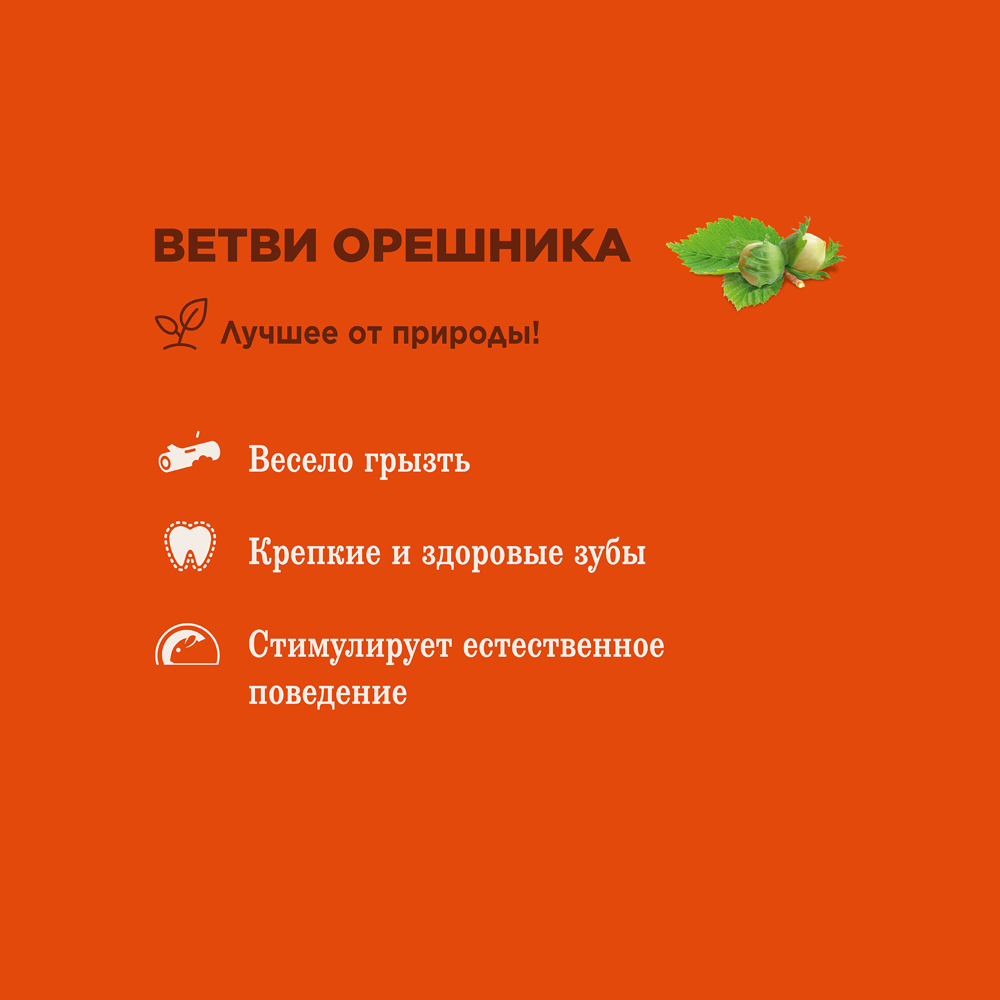 Little One_hazelnut branches_plus