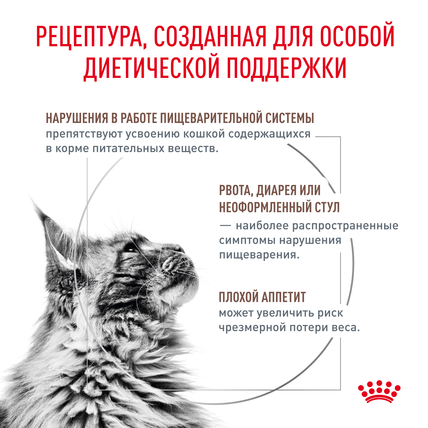 Cat_Gastrointestinal_Wet_2