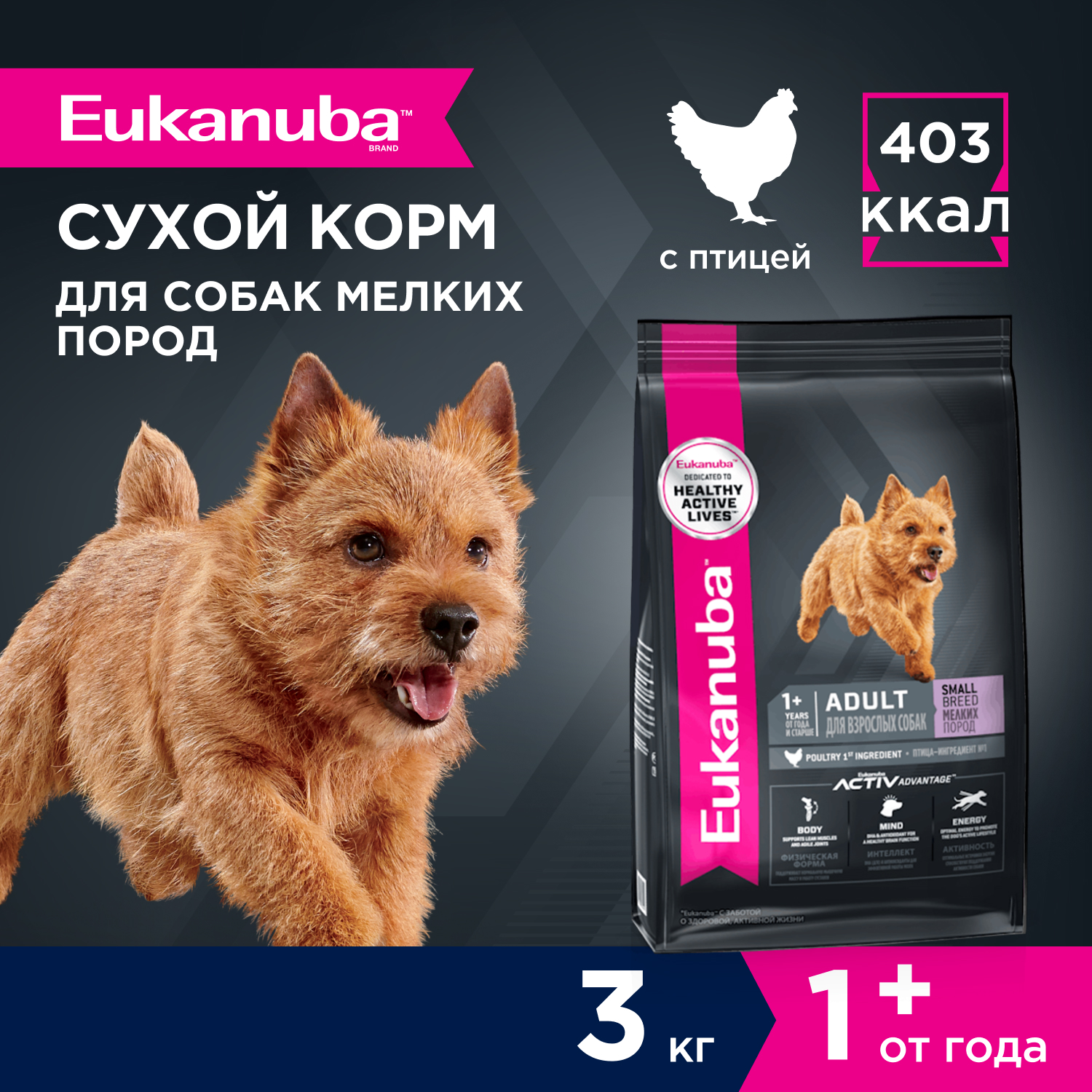2-3kg-dry_Adult-Small-Breed