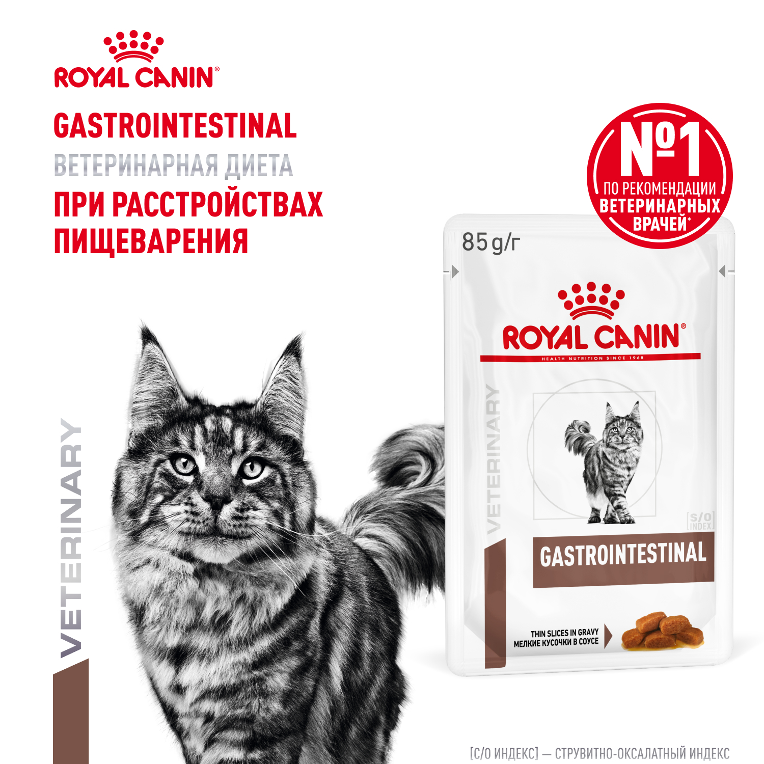 Cat_Gastrointestinal_WET_1_1500x1500