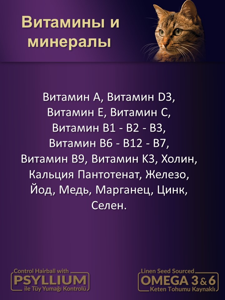 БИ_000268_3