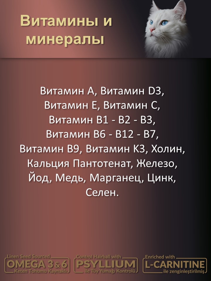 БИ_000270_3