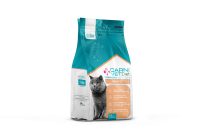OBESITY CAT - FRONT copy