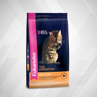 10-CAT-DRY-TOP-CONDITION-1x1