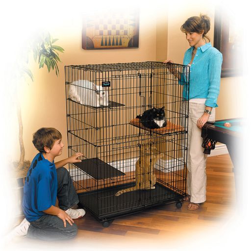 rwy3p3P8
