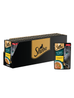 SHEBA_Cards_2025.04.30_SOUP_Chicken_02