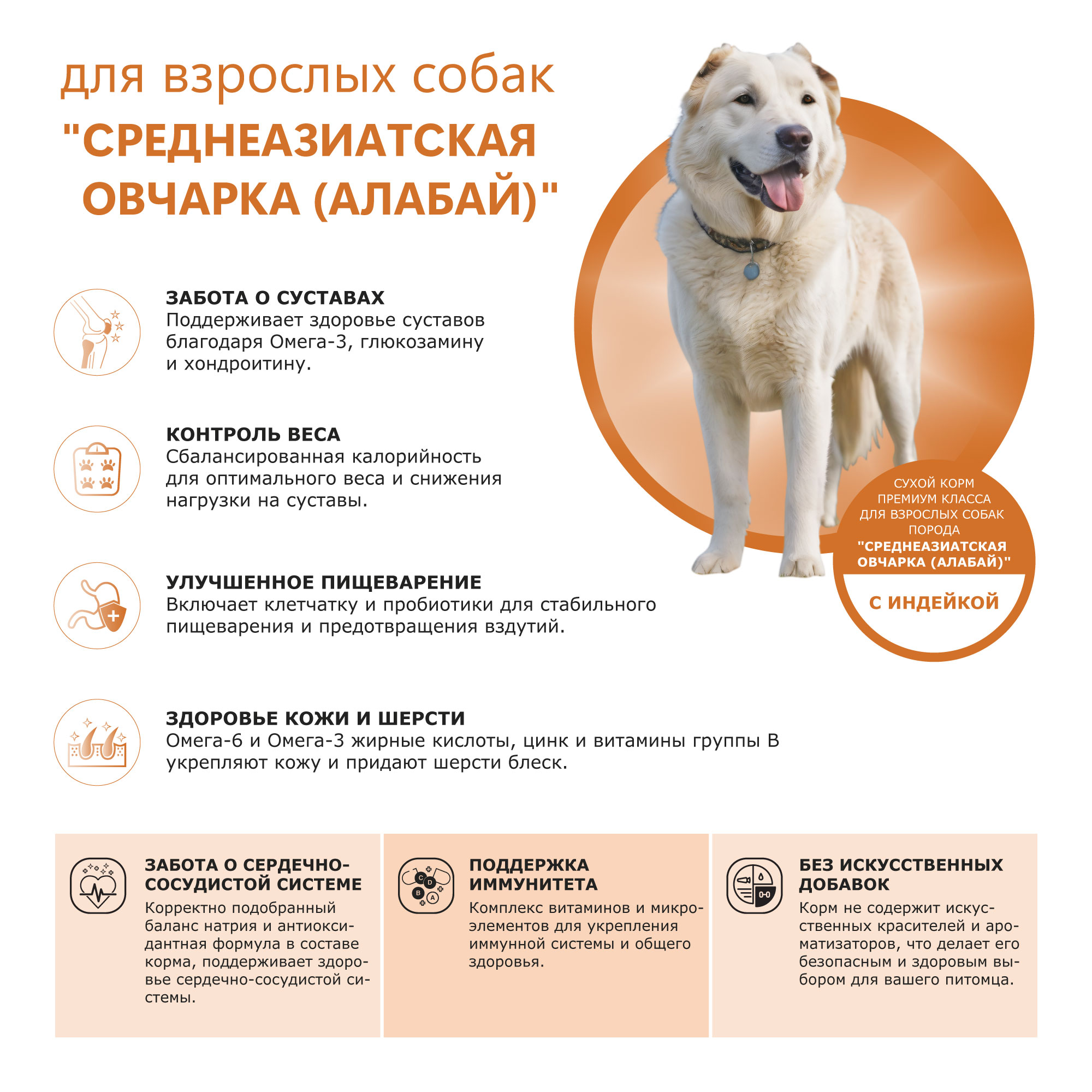 pic-2-индейка (2)