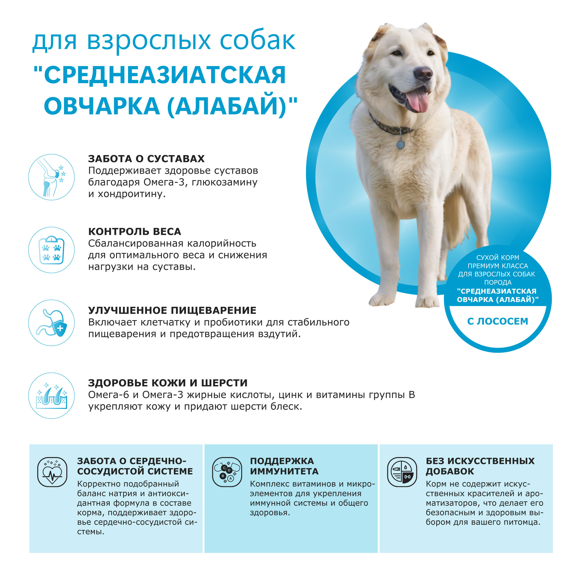 pic-2-лосось (2)