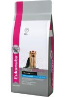 York Terrier_DRY (1) (1)