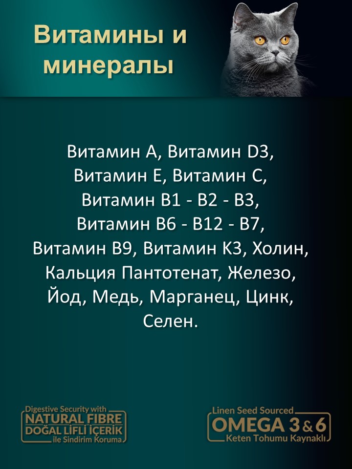 БИ_000272_3