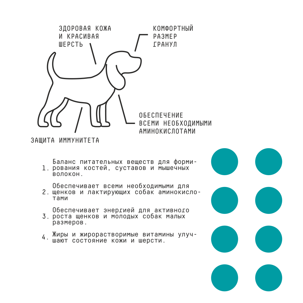 MP_Cards _AJO_MiniPuppy Jr  2