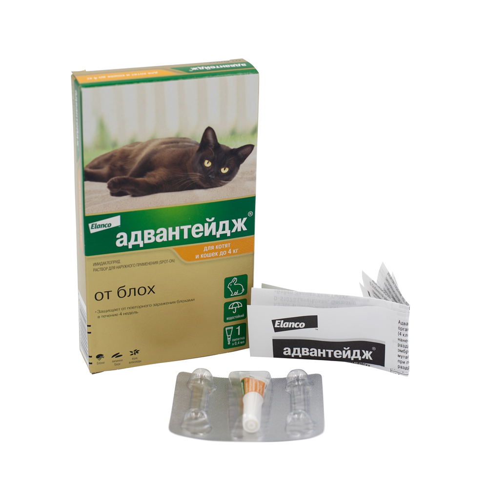 2.Advantage cat 0-4 1pip_all