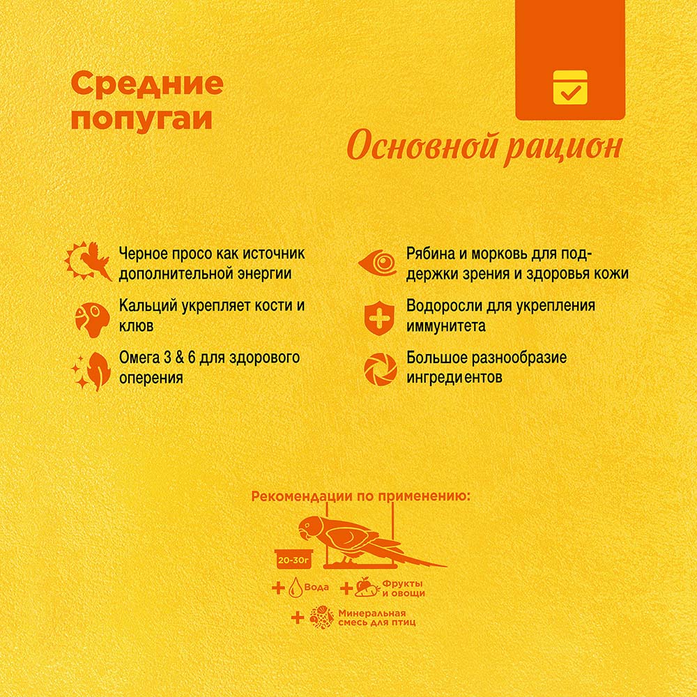 RIO_feed_parakeets_plus