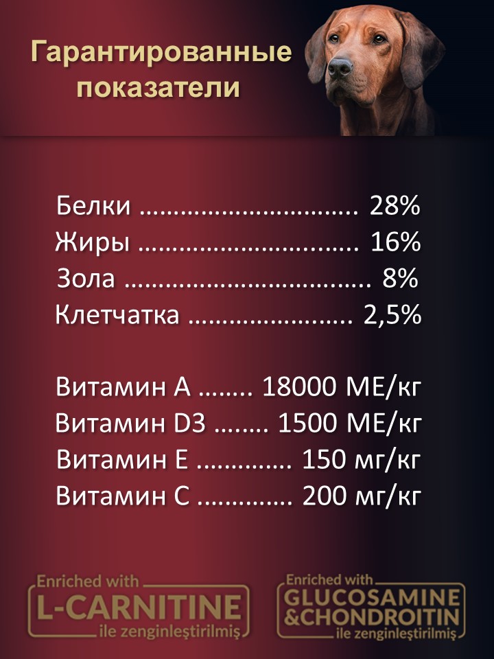 БИ_000252_4