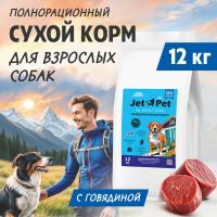 JP_fun_all_cards_2000px-01