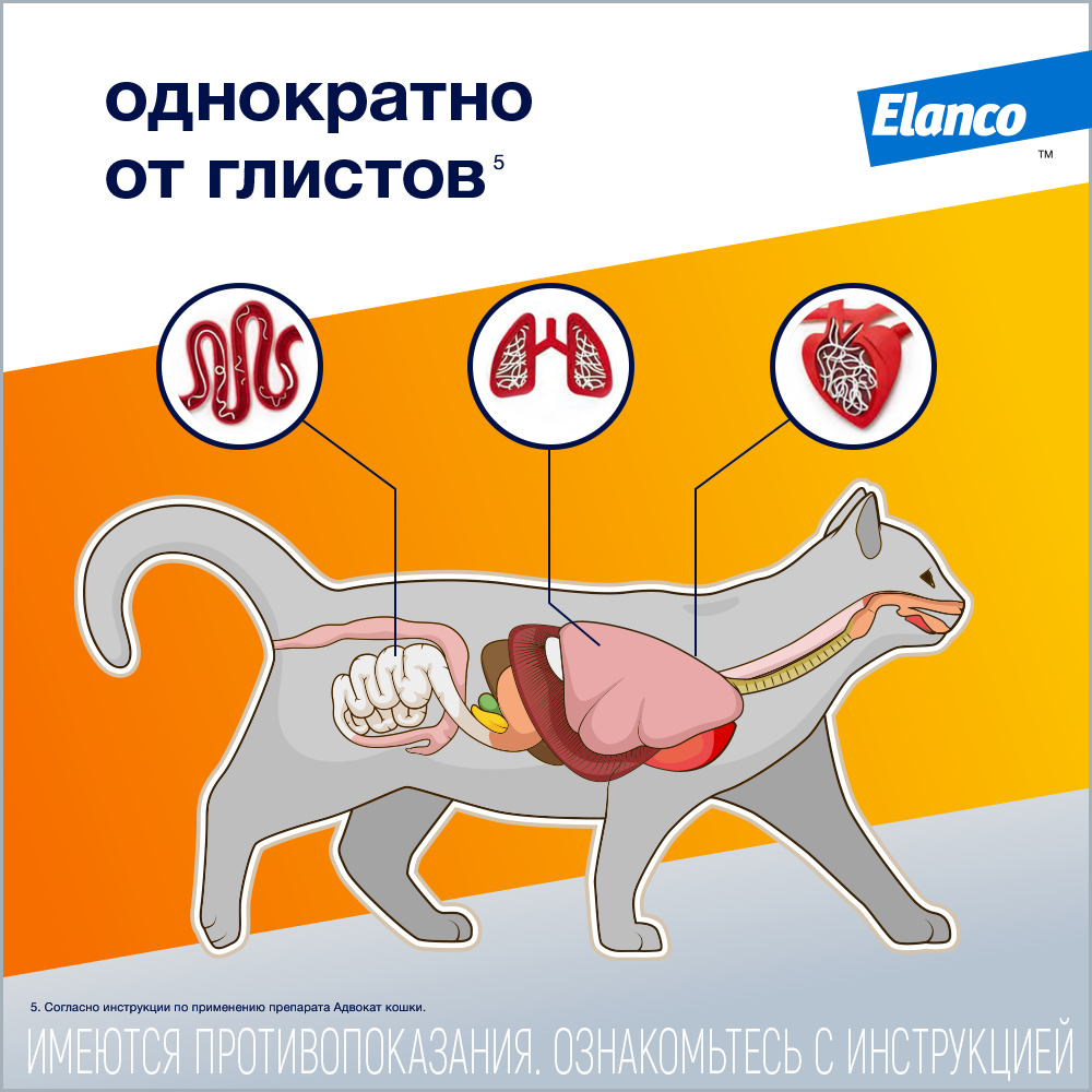 7_Advocate_cat_helminth