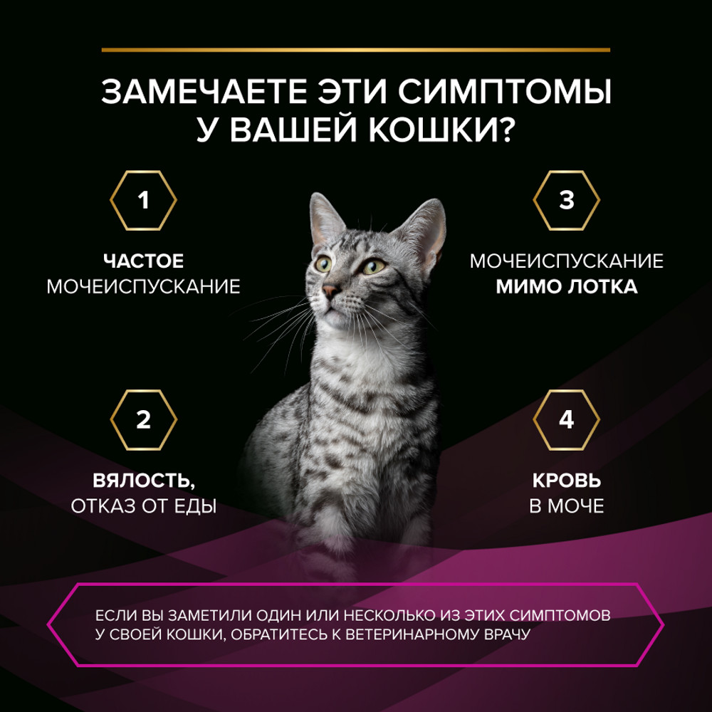 00b4b3a5-0128-4a2f-a3ca-3660eb9eaa76