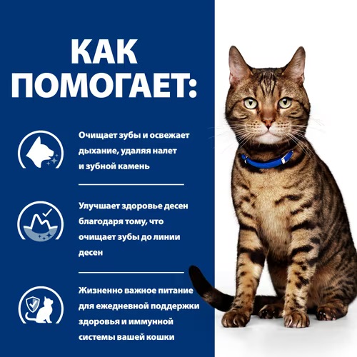 pd-feline-prescription-diet-td-dry-productSpotlight1_500