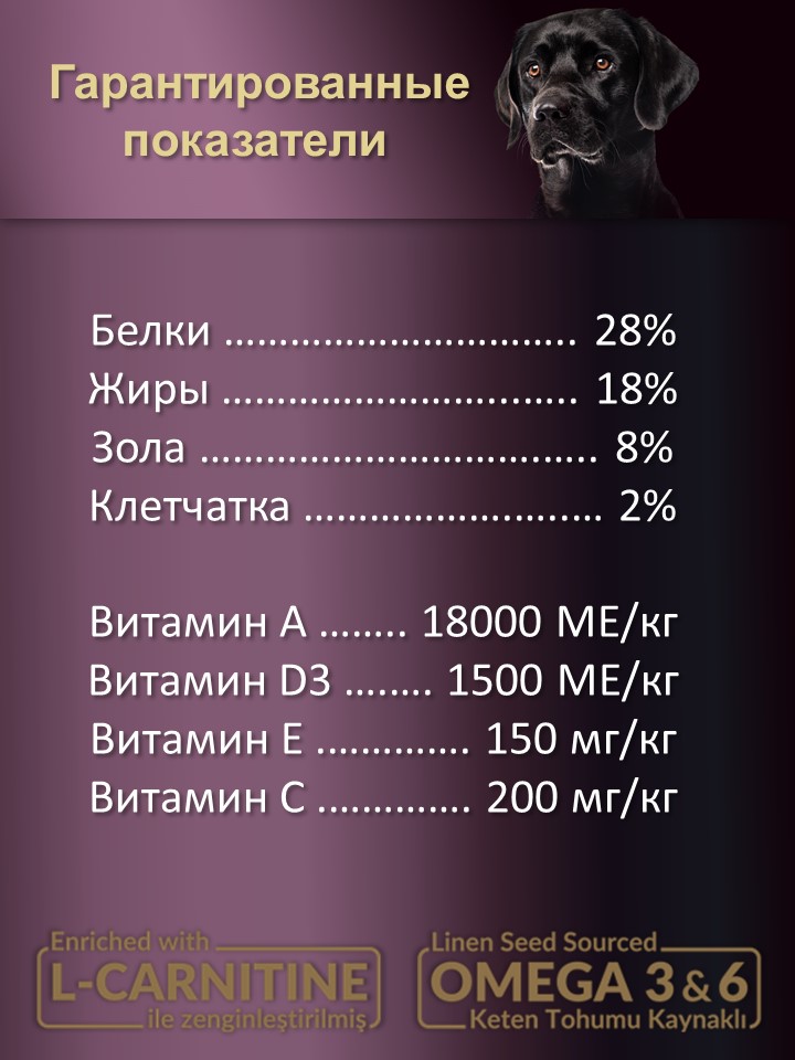 БИ_000251_4